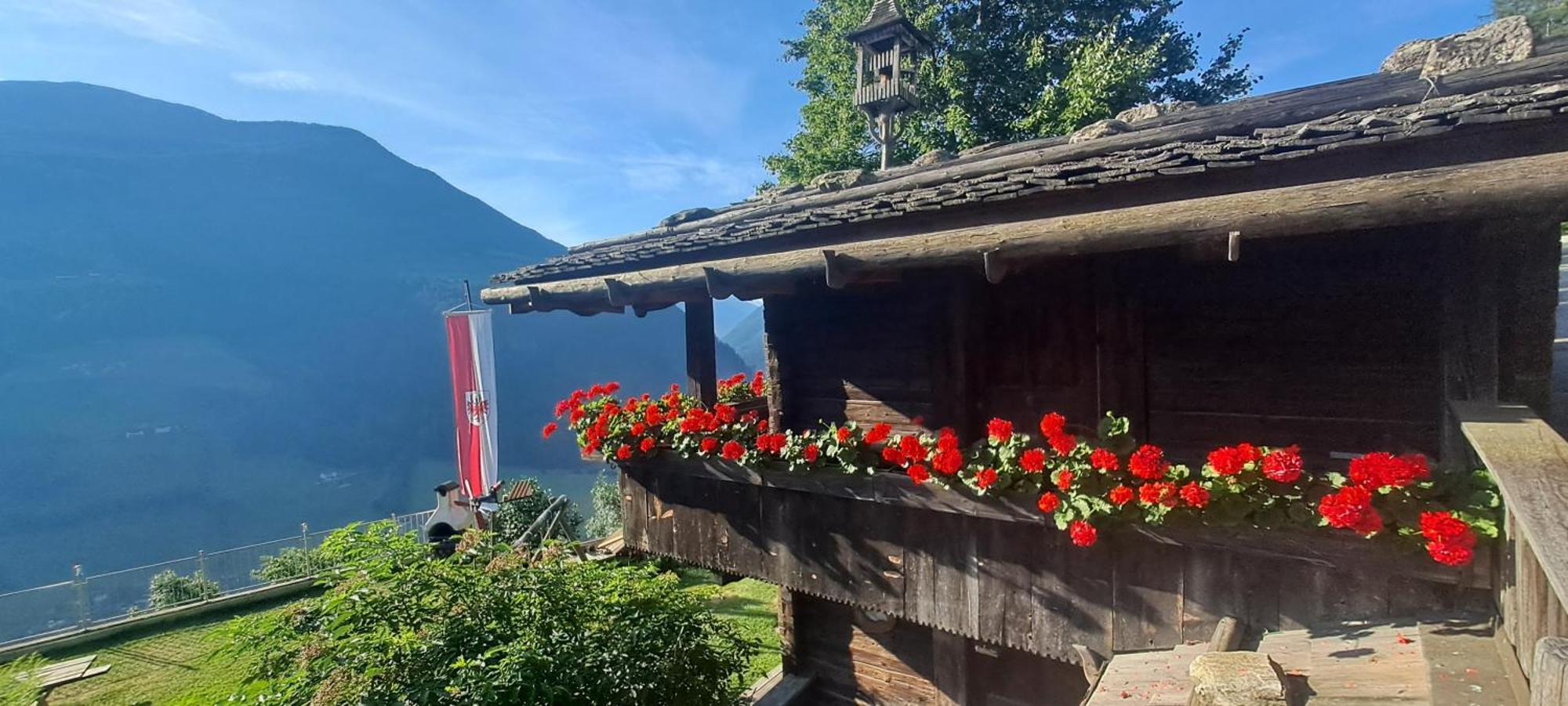 Grossstahlhof Mountain & Panorama View Apartamento Ahrntal Exterior foto