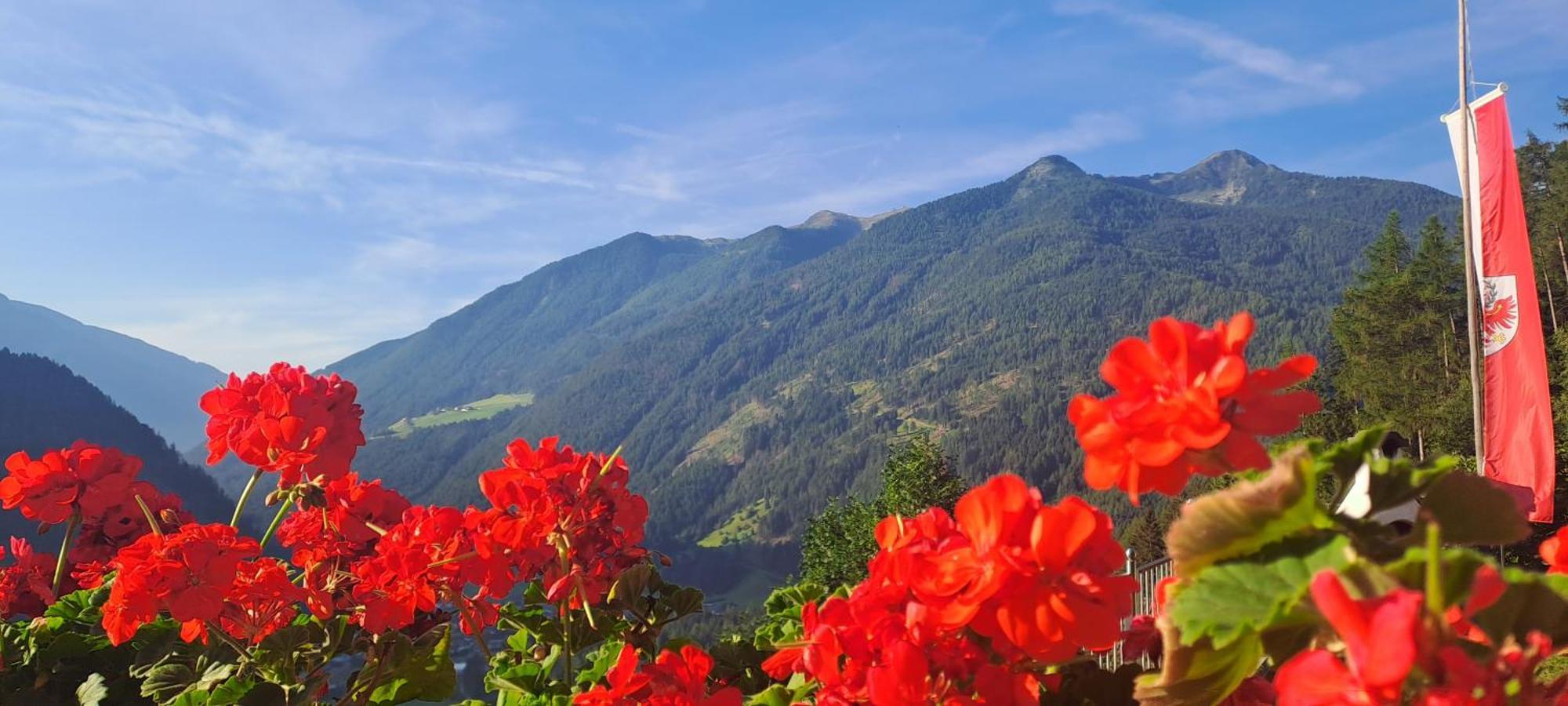 Grossstahlhof Mountain & Panorama View Apartamento Ahrntal Exterior foto